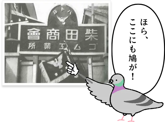 「柴田商會 ゴム工業所」という看板とハト印の旗が写った古い写真を指差すハト。吹き出し「ほら、ここにも鳩が！」