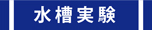 水槽実験