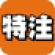 特注品