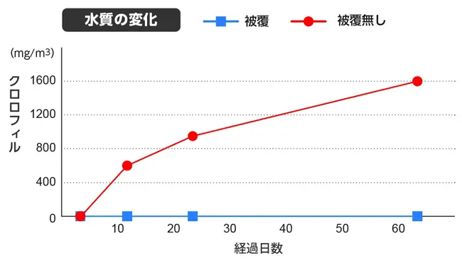 被覆がある場合とない場合の水質の変化を表したグラフ。横軸が経過日数、縦軸は立方メートルあたりのクロロフィルの重量（mg）で、被覆ありでは0のまま変化がないが、被覆なしでは時間経過とともに増えていき、60日を超えると1600mg/㎥になる。