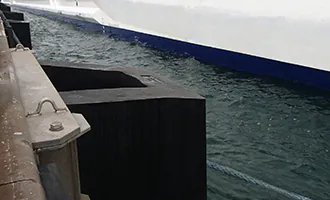 cruise01.webp