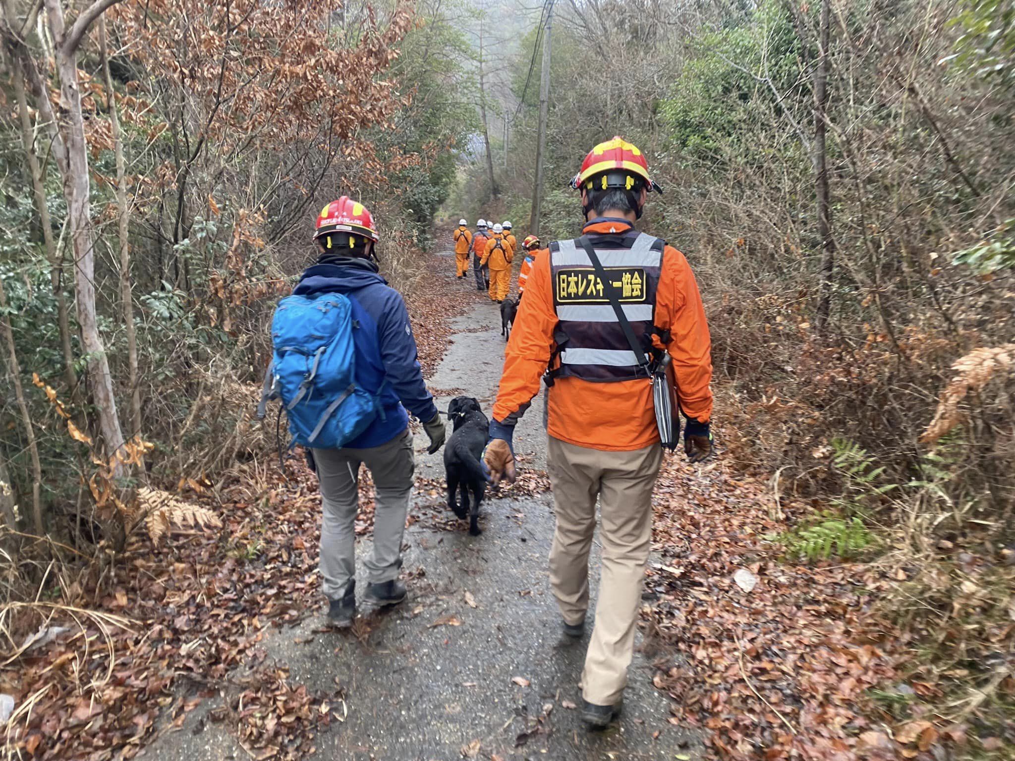 山道を歩く災害救助犬と、レスキュー協会スタッフ