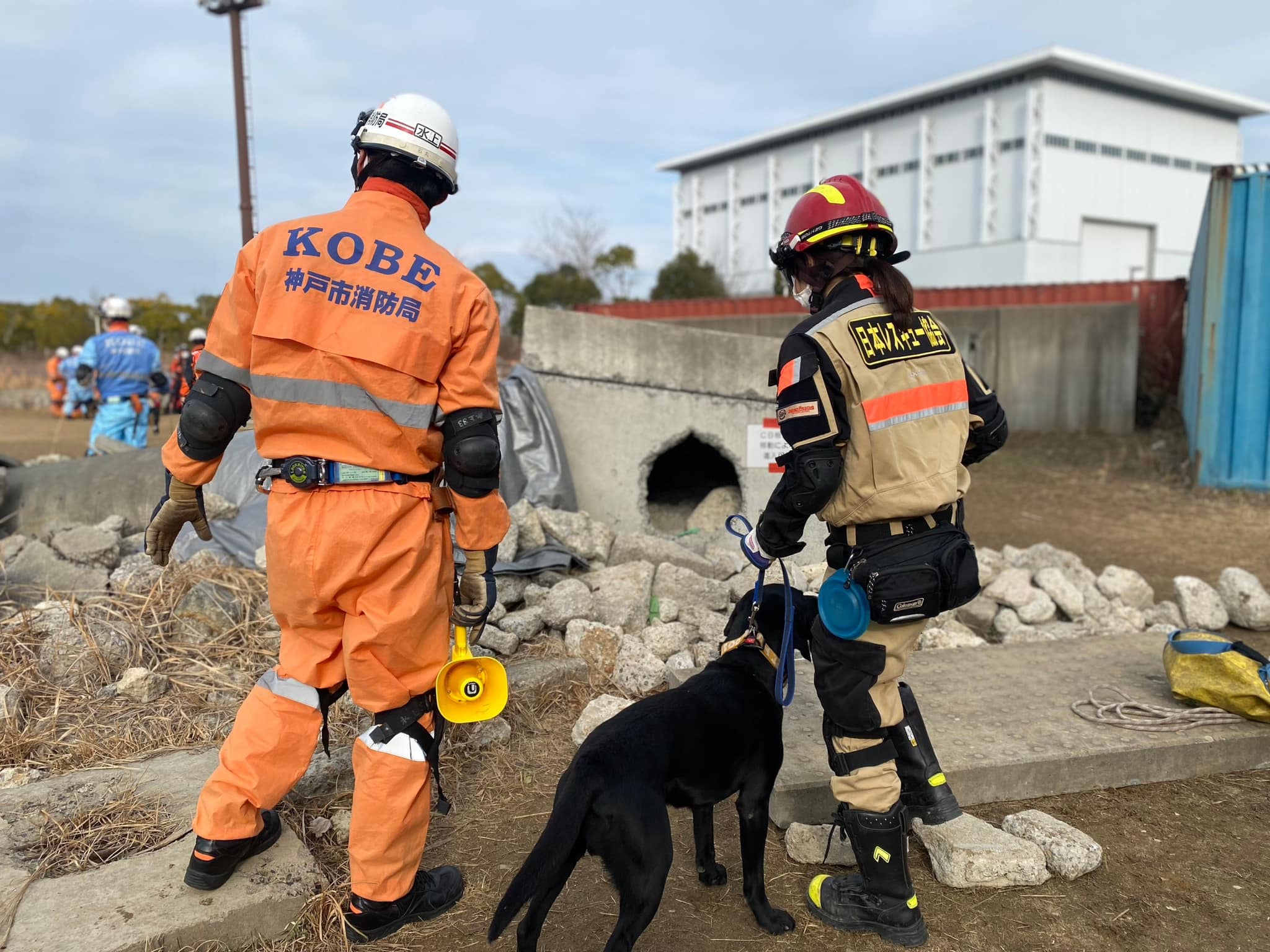 神戸市消防局隊員、日本レスキュー協会スタッフと共に、訓練に挑む黒い災害救助犬