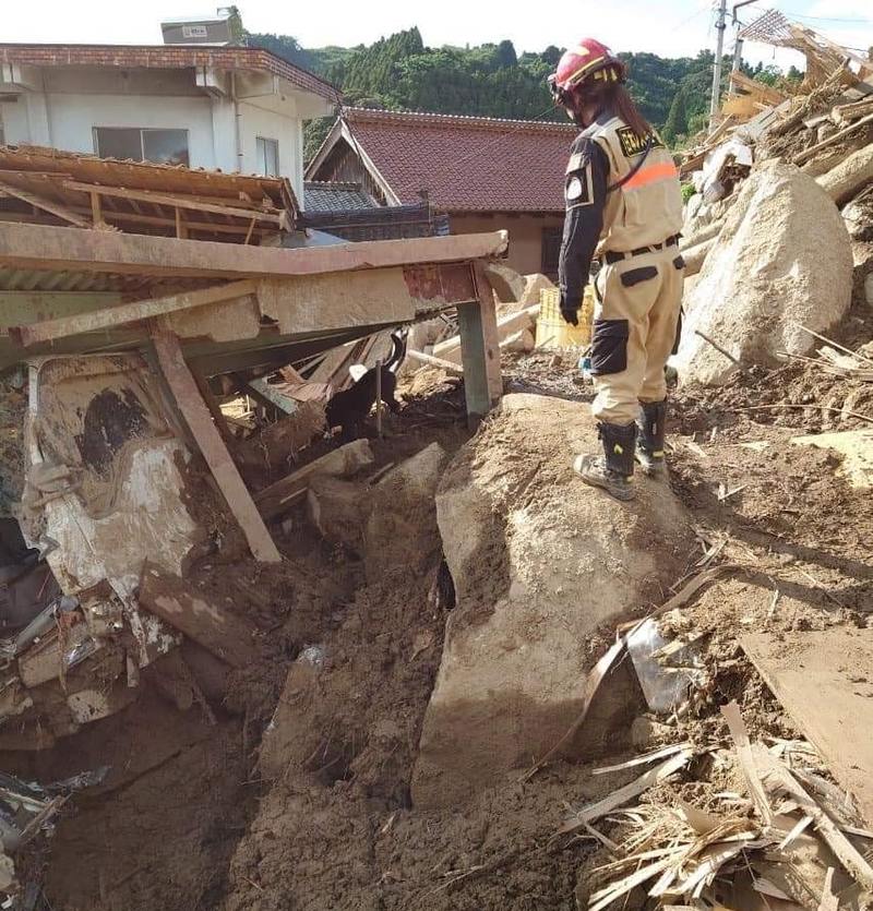 土砂災害現場で捜索活動を行う日本レスキュー協会スタッフと災害救助犬