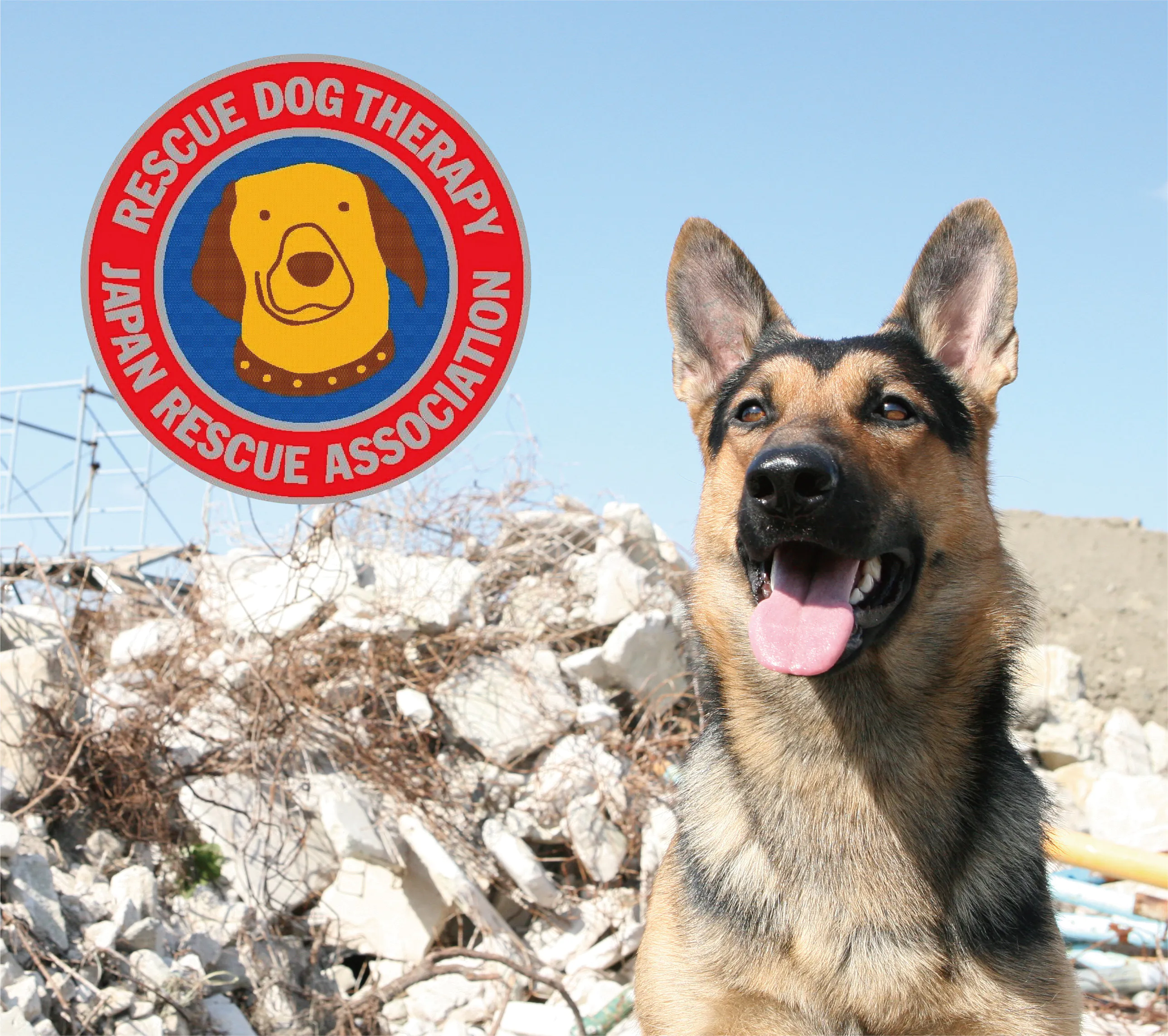 災害救助犬の育成支援