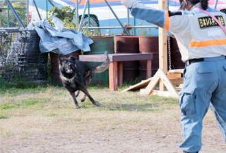 第2回　救助犬サポーター養成講座