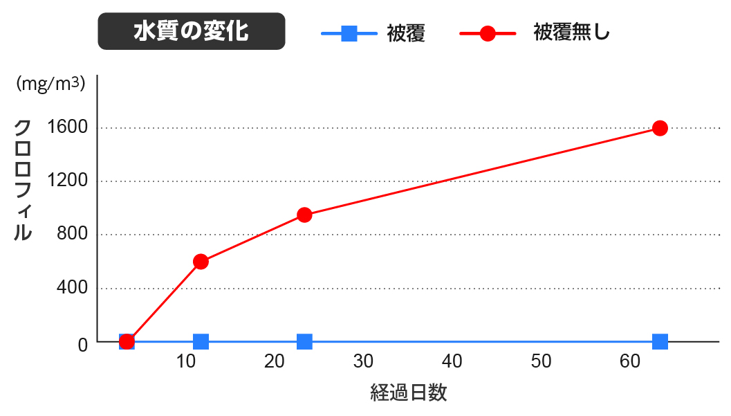 グラフ：クロロフィル濃度の変化