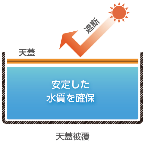 天蓋システム適用後:日光を遮断し、安定した水質を確保