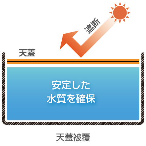 天蓋システム適用後：日光を遮断し、安定した水質を確保