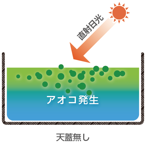 天蓋システム適用前:直射日光によるアオコ発生