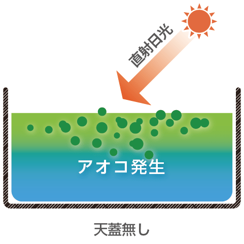 天蓋システム適用前：直射日光によるアオコ発生