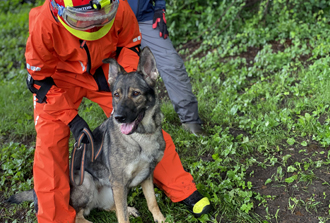 救助犬団体との合同訓練